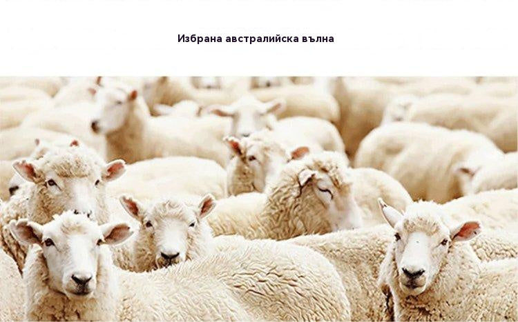 Ограничена оферта 50% отстъпка【35-43】❄️🥿👢 Зимни дамски модерни удобни топли ботуши 2025 г