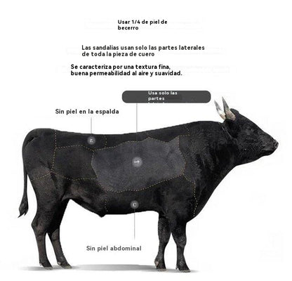 👞Promoción limitada 50%【39-44】Zapatillas deportivas de hombre 2025, de cuero natural, con suela suave, antideslizantes y transpirables" ✅