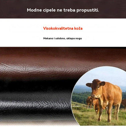 👞Nova kolekcija【38-44】🔥Zimske kvalitetne vunene cipele, casual u britanskom stilu, tople i praktične