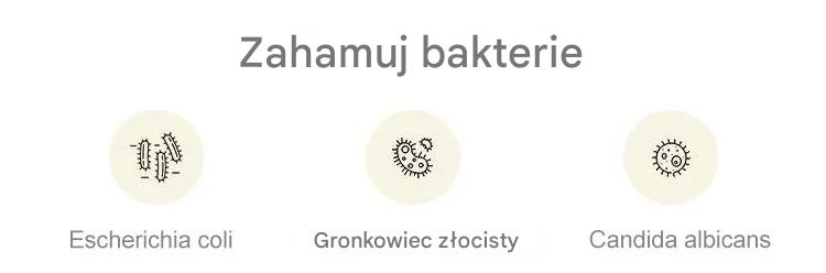 🩲🔥Promocja nowości 【6 sztuk】Damskie majtki z lodowego jedwabiu z wysokim stanem