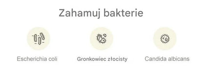 🩲🔥Promocja nowości 【6 sztuk】Damskie majtki z lodowego jedwabiu z wysokim stanem