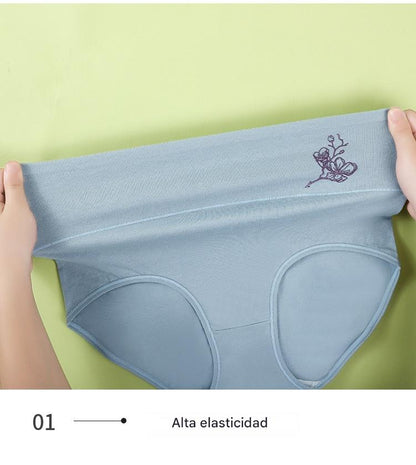💖Último día: 50 % de descuento - 【Compra 3 y llévate 3 gratis】 Braguitas de algodón puro con cintura alta y realce de cadera, tallas grandes [40-100 kg]