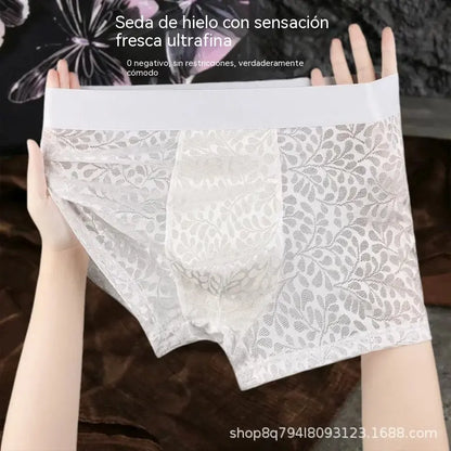 [L-4XL] Novo muško donje rublje od svilene mreže, plus veličine, prozračno - plaćanje pouzećem