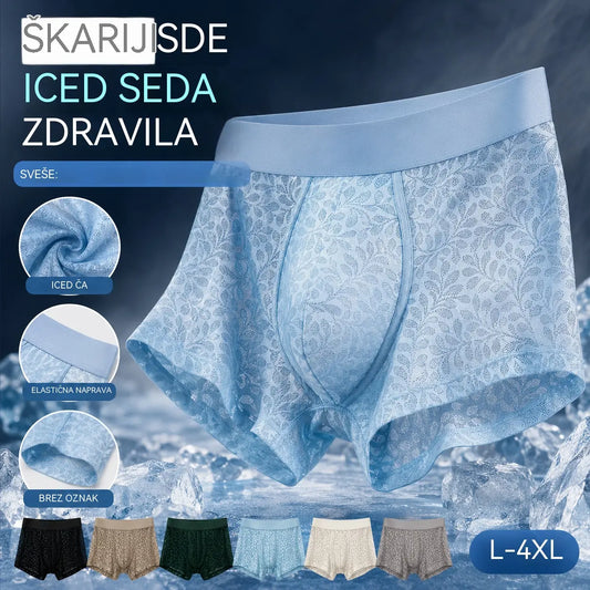 [L-4XL] Novo muško donje rublje od svilene mreže, plus veličine, prozračno - plaćanje pouzećem